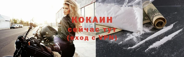 мескалин Богородицк