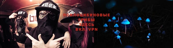 мескалин Богородицк
